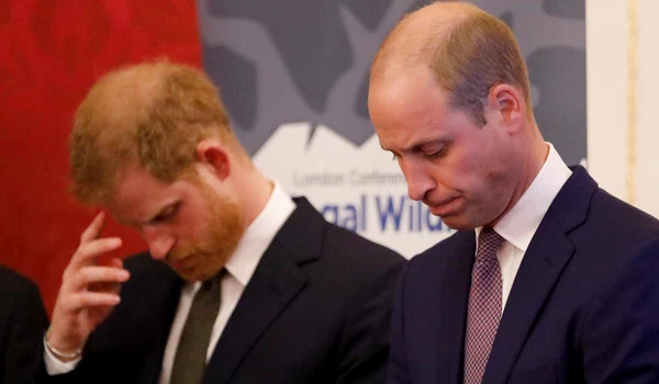 Prințul William, Prințul Harry  foto   GettyImages 1051839482 jpg