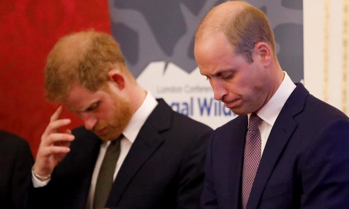 Prințul William, Prințul Harry  foto   GettyImages 1051839482 jpg