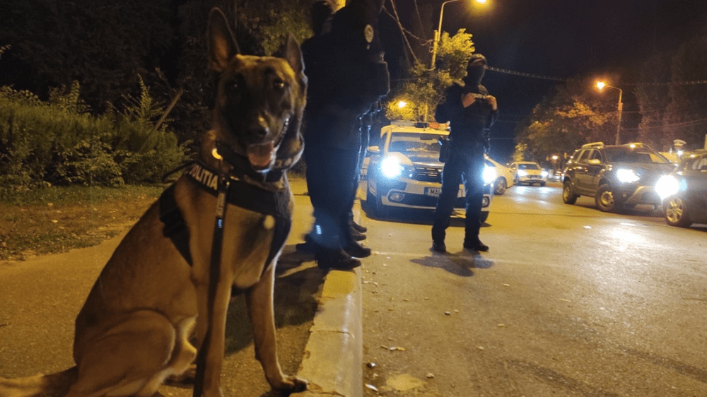 Mașină de lux furată, găsită  în timp record de polițiștii din Reșița. Totul a durat doar 20 de minute