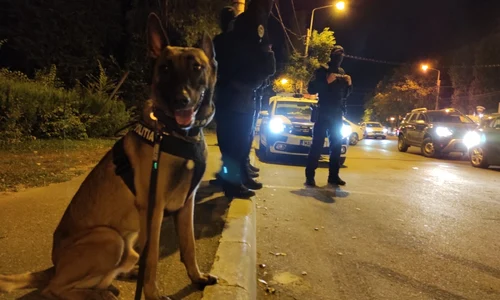 filtru politie mamaia foto ipj constanta