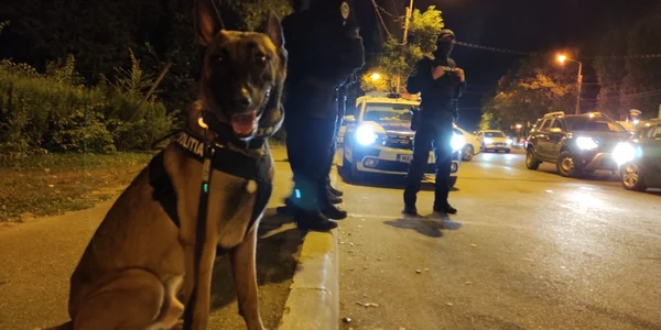 filtru politie mamaia foto ipj constanta