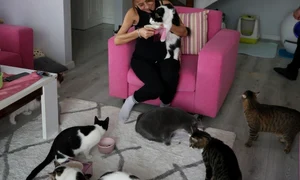 jale olcay profimedia jpg