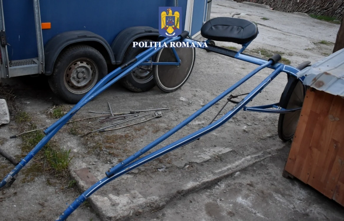 curse ilegale cu atelaje hipo în olt
