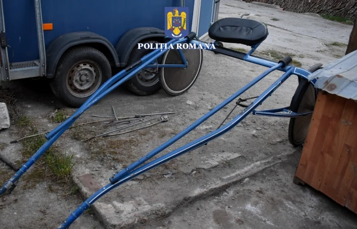 curse ilegale cu atelaje hipo în olt
