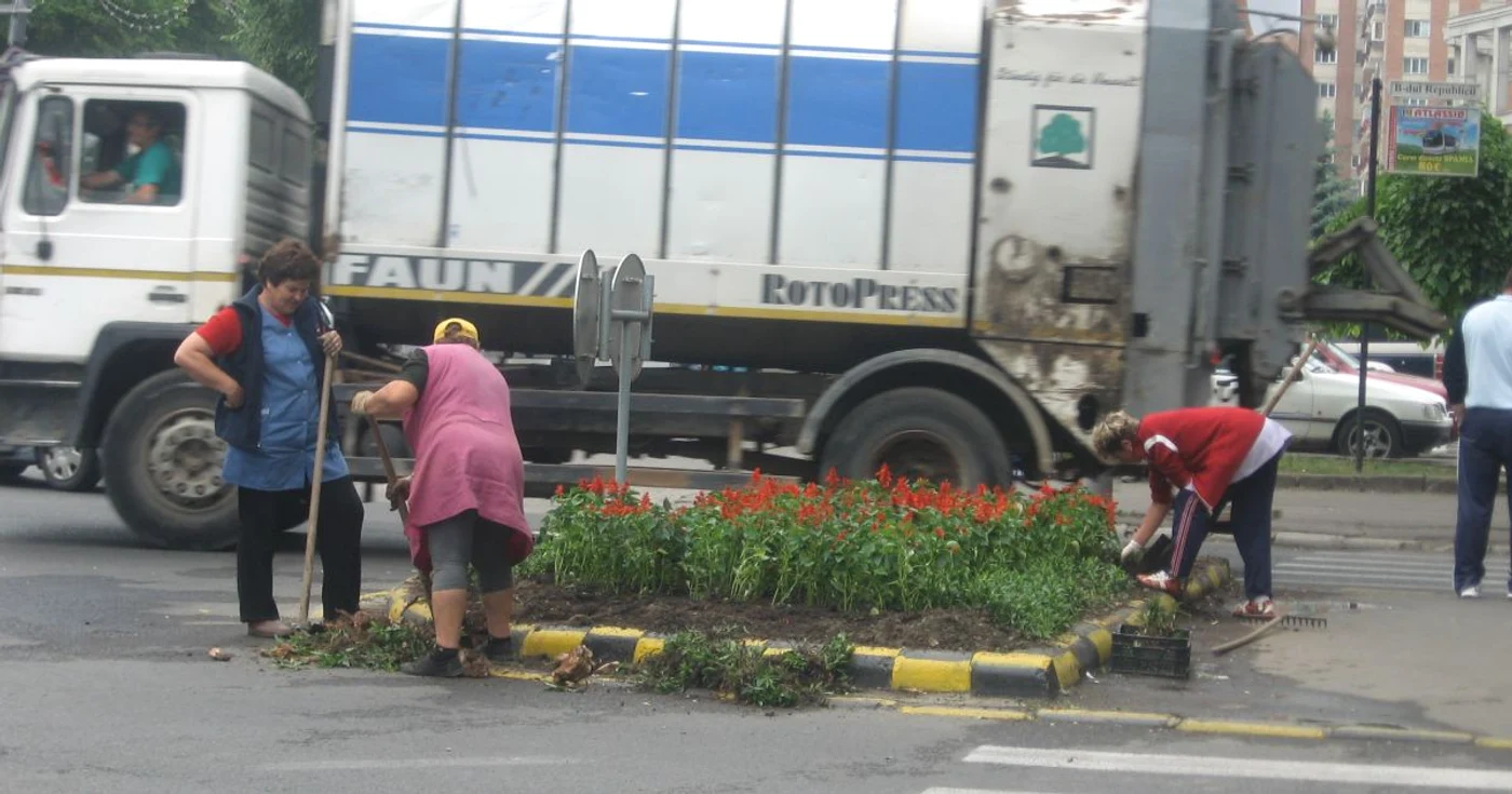 În oraş s-au plantat peste  200.000 de flori