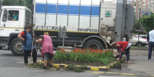 În oraş s-au plantat peste  200.000 de flori
