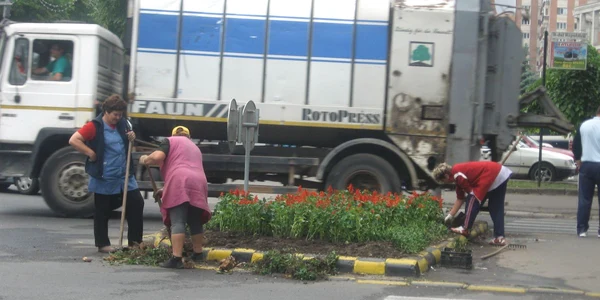 În oraş s-au plantat peste  200.000 de flori