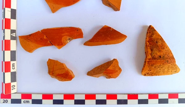 Fragmente de ceramică pictată, descoperite în județul Neamț 
