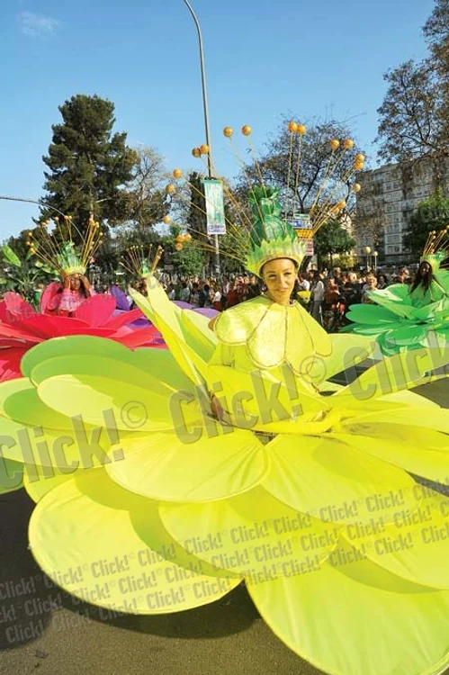 Una dintre atracţiile festivalului vor fi artiştii francezi de la trupa Kalice Productions care joacă costumaţi în gigantice flori multicolore