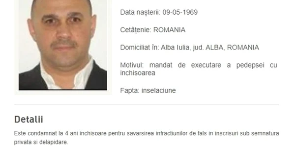 tamas miliardar alba