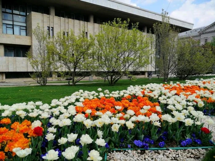 FOTO: BOGDAN DĂNESCU