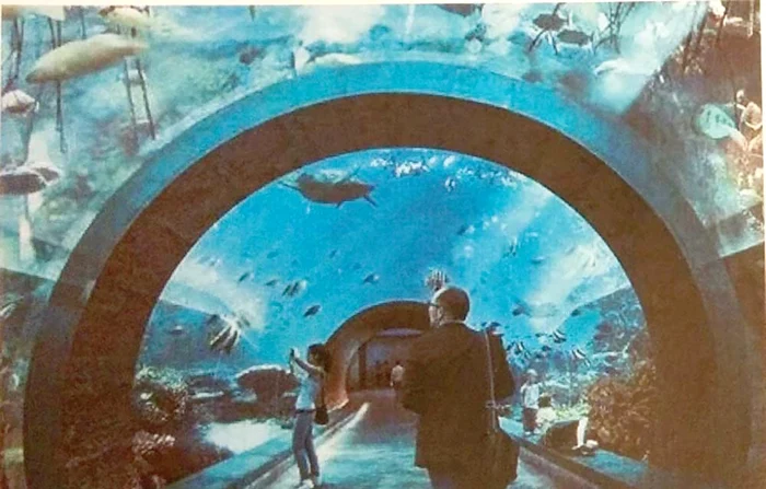 
    Aquadom de 30 de milioane de euroFoto: Florin Şuler/B365.ro  