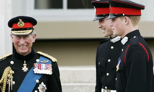 Prințul William, Prințul Harry, Regele Charles  sursa   GettyImages jpg