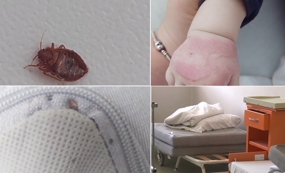 Ploșnițe la Pediatria Spitalului Județean Vâlcea. Mamă internată cu copilul, revoltată de dezinteresul personalului FOTO VIDEO