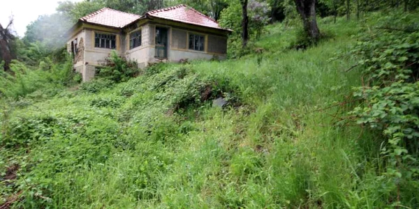 saul mosoru