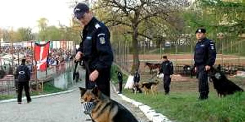 Data limită de depunere a dosarelor este sfârşitul lunii mai 