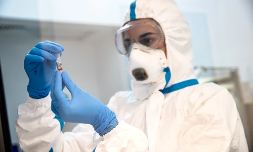 1 prelucrare teste covid19 rm jpg jpeg