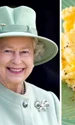 Omleta preferata a reginei elisabeta, foto Pinterest jpg