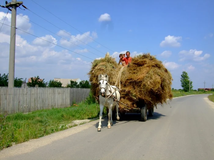 FOTO www.ziaruldevaslui.ro