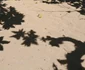 11887938 10207071951343379 2606240378629468753 n jpeg