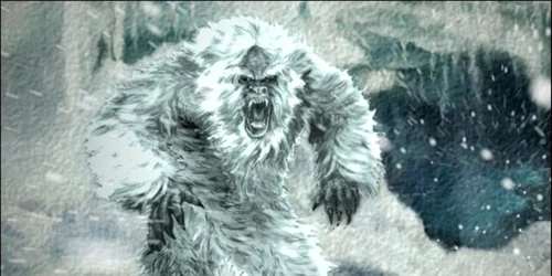 yeti foto unconfirmedbreakingnews.com