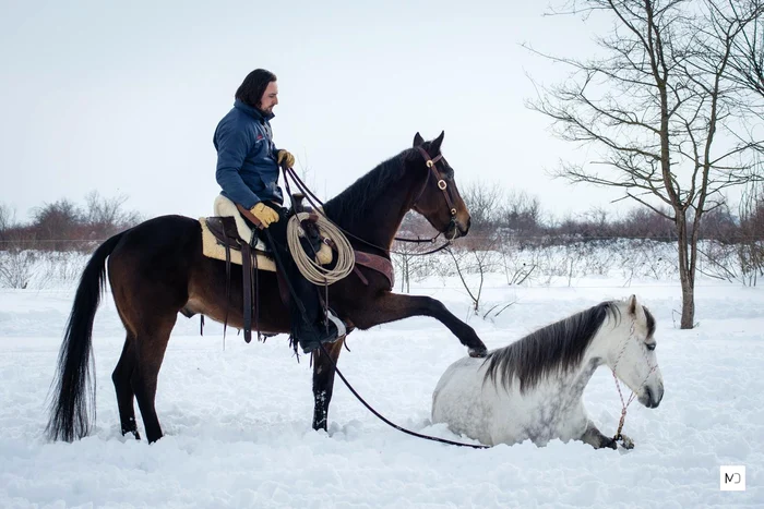 5 23632000 1328617807267318 2337994650636780330 o jpg jpeg