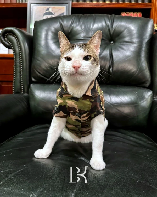 Bobby, motanul președintelui Indonezian