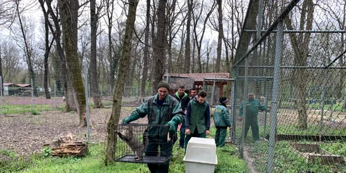 Grădina zoo Timişoara