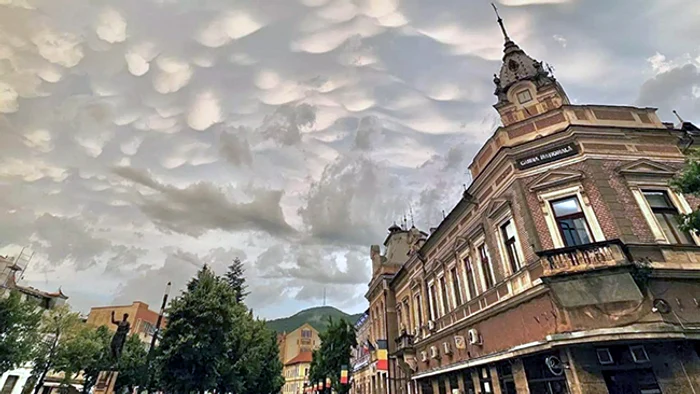 Norii mammatus Foto: Facebook
