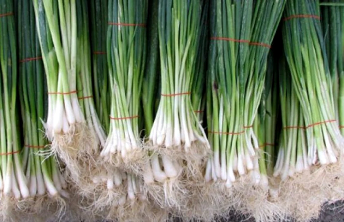 ceapa verde, leguma care curăţă organismul de toxine FOTO aflacum.ro