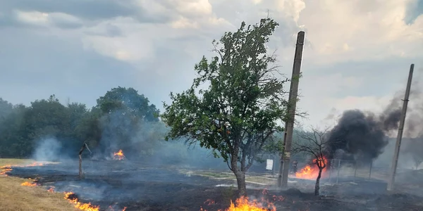 incendiu vegetatie uscata poboru olt   foto arhiva iulian barascu (1) jpeg