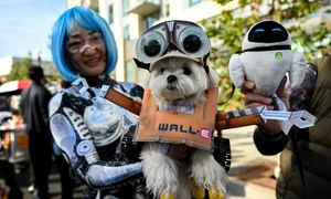 caine halloween profimedia jpg