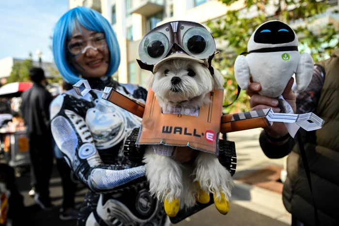 Bichon Maltez, costumat în roboțelul Wall-E