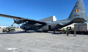 Lucrări emblematice ale lui Constantin Brâncuși, transportate la Roma (© Facebook / Ambasada României în Italia)