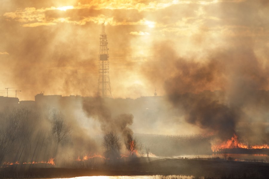Incendiu puternic în Delta Văcărești. Există risc de propagare UPDATE