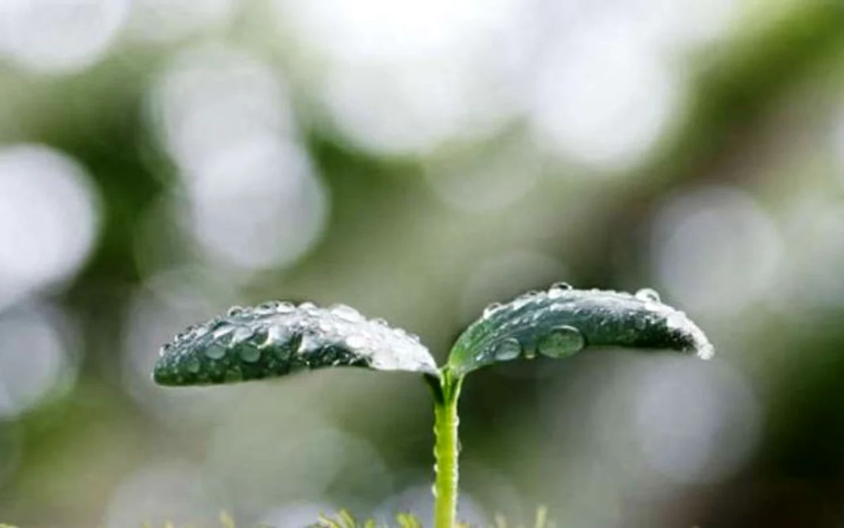 FOTO: iflscience.com