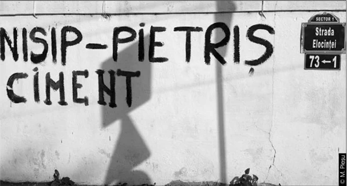 m plesu jpg jpeg
