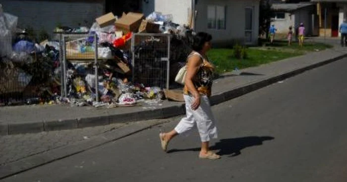 Salubrizarea oraşului este disputată de firmele de profil