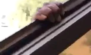 atarna deschidere jpeg