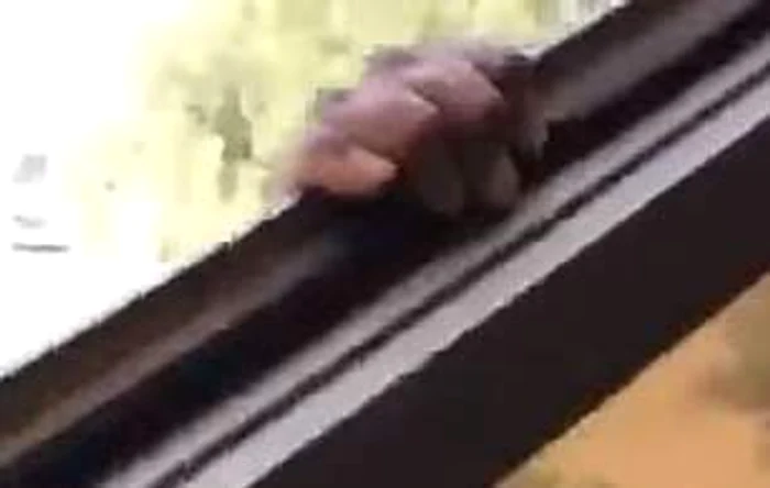 Menajera etiopiană, înainte de a cădea de la etajul 7captură video