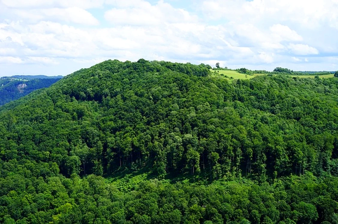 România are multe păduri primare FOTO corinamatei.ro