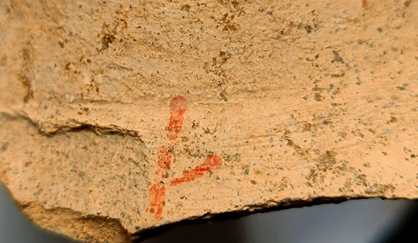 Foto: © Facebook / Vasile Diaconu – archaeologist