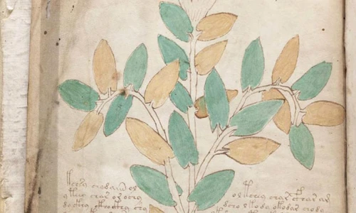 1 58864 original jpg jpeg