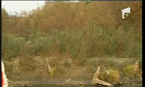 El a găsit o pe Elodia? jpeg
