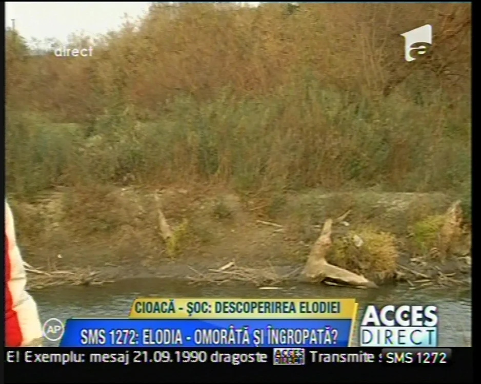 El a găsit-o pe Elodia?