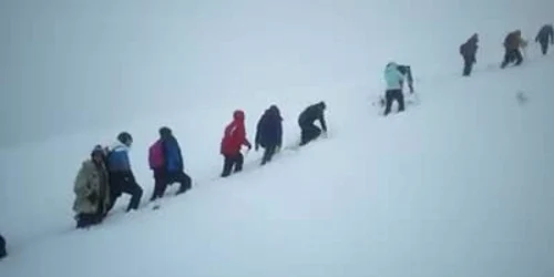 5a21802c5ab6550cb8bd4e82 jpg