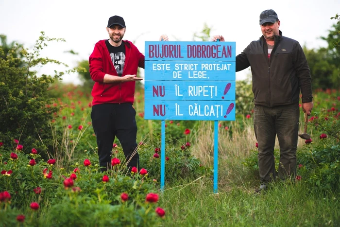 Bujorul românesc din Dobrogea - specie protejată prin lege Sursa Facebook Alex Filip