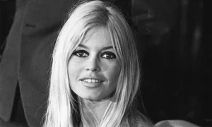 brigitte gettyimages 3325655 768x507 jpeg