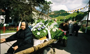 Trăsura cu joben jpeg