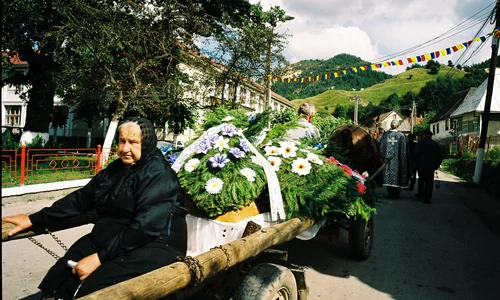 Trăsura cu joben jpeg